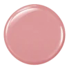 No. 05 Cover Pink
